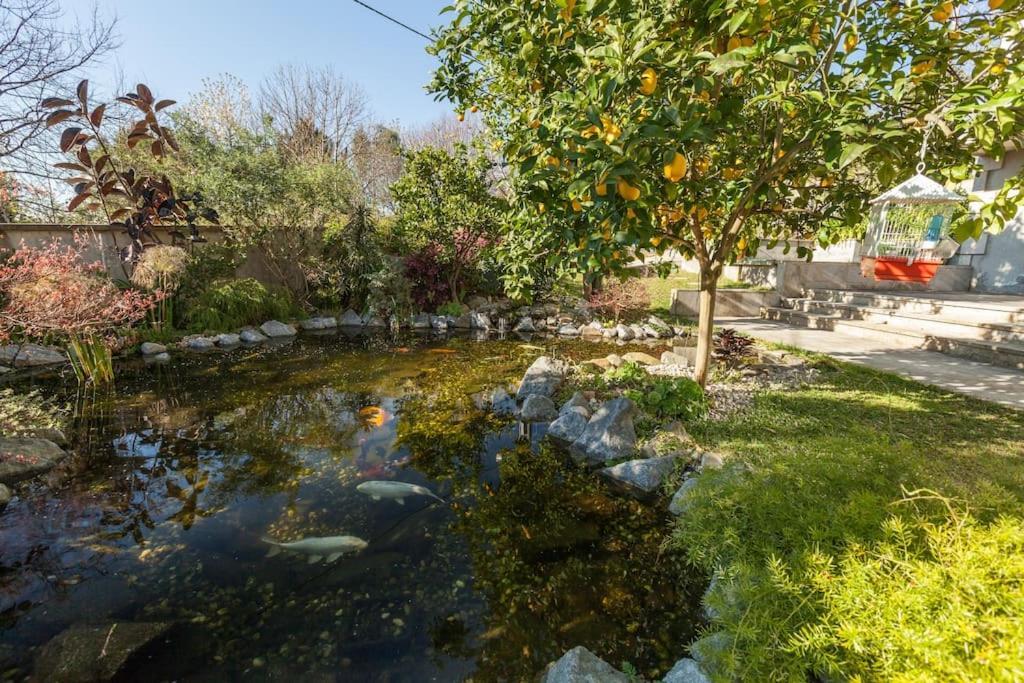 Sweet Home Braga - 4 Rooms Apartment Экстерьер фото