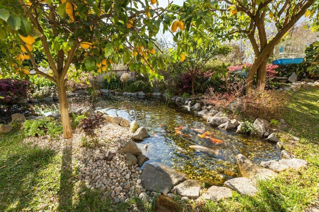 Sweet Home Braga - 4 Rooms Apartment Экстерьер фото